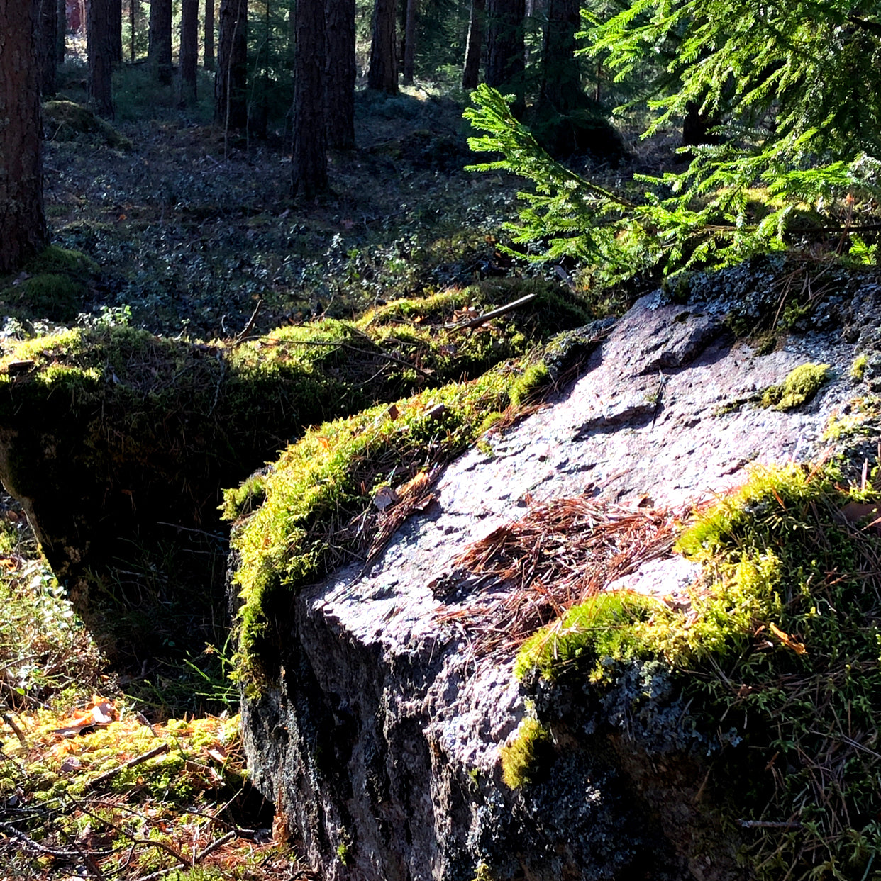 Uudenkuun Rauhanseremonia marraskuu 2025