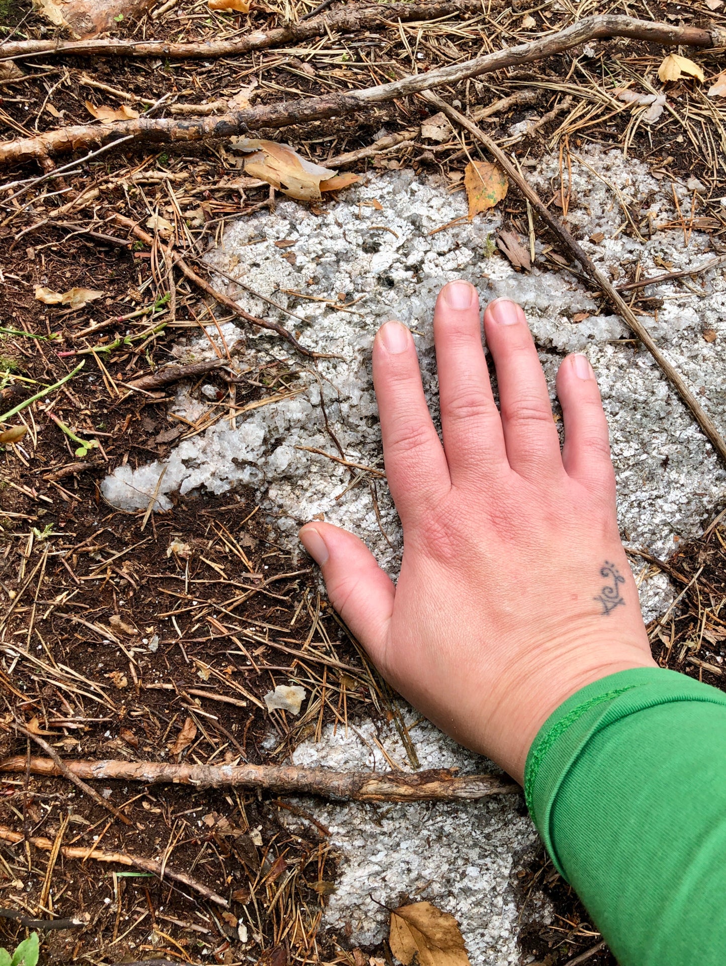 Uudenkuun Rauhanseremonia marraskuu 2025